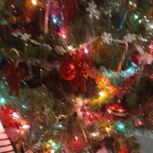 Meet your Posher, Christy